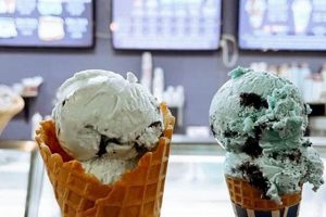 Montclair's Coolest Vegan Ice Cream [NJ Guide] | Discover Delicious Vegan Food, Beauty Swaps, and Zero-Waste Tips for a Greener Life
