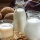 Boost Protein: Highest Protein Vegan Milk Options Today! | Discover Delicious Vegan Food, Beauty Swaps, and Zero-Waste Tips for a Greener Life