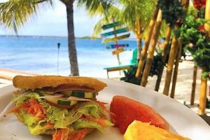 Best Vegan Restaurants in Aruba: Your Plant-Based Guide Discover Delicious Vegan Food, Beauty Swaps, and Zero-Waste Tips for a Greener Life Best Vegan Restaurants in Aruba: Your Plant-Based Guide | Discover Delicious Vegan Food, Beauty Swaps, and Zero-Waste Tips for a Greener Life