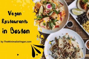 Best Vegan Options Boston: Your Complete Guide | Discover Delicious Vegan Food, Beauty Swaps, and Zero-Waste Tips for a Greener Life