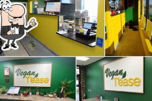 Find Local Vegan Restaurants in Orland Park, IL Guide | Discover Delicious Vegan Food, Beauty Swaps, and Zero-Waste Tips for a Greener Life