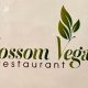 Explore Blossom Vegan Restaurant Menu | Delicious & Healthy | Discover Delicious Vegan Food, Beauty Swaps, and Zero-Waste Tips for a Greener Life