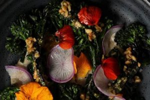 Miami's Best Vegan Italian: Find Your Plant-Based Paradise Discover Delicious Vegan Food, Beauty Swaps, and Zero-Waste Tips for a Greener Life Miami's Best Vegan Italian: Find Your Plant-Based Paradise | Discover Delicious Vegan Food, Beauty Swaps, and Zero-Waste Tips for a Greener Life