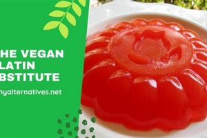 The Ultimate Vegan Gelatin Substitute Guide (+Recipes!) | Discover Delicious Vegan Food, Beauty Swaps, and Zero-Waste Tips for a Greener Life