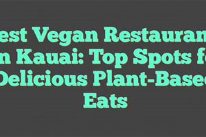 Best Kauai Vegan Restaurants: A Local's Guide | Discover Delicious Vegan Food, Beauty Swaps, and Zero-Waste Tips for a Greener Life