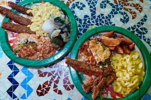 Guide to Vegan Restaurants in Daytona Beach, FL Near You Discover Delicious Vegan Food, Beauty Swaps, and Zero-Waste Tips for a Greener Life Guide to Vegan Restaurants in Daytona Beach, FL Near You | Discover Delicious Vegan Food, Beauty Swaps, and Zero-Waste Tips for a Greener Life