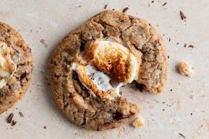 Easy Vegan S'mores Cookies: Campfire in Every Bite! | Discover Delicious Vegan Food, Beauty Swaps, and Zero-Waste Tips for a Greener Life