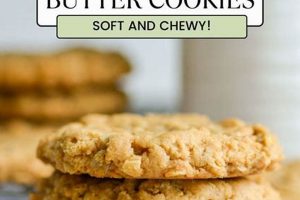 Easy Vegan Oatmeal Peanut Butter Cookies (Chewy!) Discover Delicious Vegan Food, Beauty Swaps, and Zero-Waste Tips for a Greener Life Easy Vegan Oatmeal Peanut Butter Cookies (Chewy!) | Discover Delicious Vegan Food, Beauty Swaps, and Zero-Waste Tips for a Greener Life