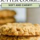Easy Vegan Oatmeal Peanut Butter Cookies (Chewy!) | Discover Delicious Vegan Food, Beauty Swaps, and Zero-Waste Tips for a Greener Life