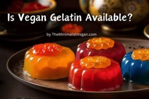 Best Vegan Gelatin Alternatives: The Ultimate Guide! | Discover Delicious Vegan Food, Beauty Swaps, and Zero-Waste Tips for a Greener Life