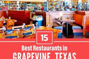 Best Vegan Restaurants in Grapevine TX: Find Your Plant-Based Meal! | Discover Delicious Vegan Food, Beauty Swaps, and Zero-Waste Tips for a Greener Life