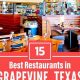 Best Vegan Restaurants in Grapevine TX: Find Your Plant-Based Meal! | Discover Delicious Vegan Food, Beauty Swaps, and Zero-Waste Tips for a Greener Life