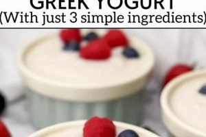 Easy Vegan Greek Yogurt Recipe: Creamy & Delicious! Discover Delicious Vegan Food, Beauty Swaps, and Zero-Waste Tips for a Greener Life Easy Vegan Greek Yogurt Recipe: Creamy & Delicious! | Discover Delicious Vegan Food, Beauty Swaps, and Zero-Waste Tips for a Greener Life