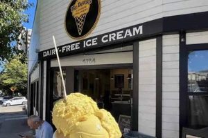 Best Vegan Ice Cream Oakland: Guide & Flavors Discover Delicious Vegan Food, Beauty Swaps, and Zero-Waste Tips for a Greener Life Best Vegan Ice Cream Oakland: Guide & Flavors | Discover Delicious Vegan Food, Beauty Swaps, and Zero-Waste Tips for a Greener Life