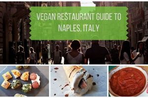 Your Guide to Vegan Food in Naples, FL (Eats!) Discover Delicious Vegan Food, Beauty Swaps, and Zero-Waste Tips for a Greener Life Your Guide to Vegan Food in Naples, FL (Eats!) | Discover Delicious Vegan Food, Beauty Swaps, and Zero-Waste Tips for a Greener Life