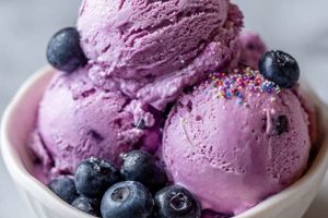Best Vegan Blueberry Ice Cream: Recipes & Reviews Discover Delicious Vegan Food, Beauty Swaps, and Zero-Waste Tips for a Greener Life Best Vegan Blueberry Ice Cream: Recipes & Reviews | Discover Delicious Vegan Food, Beauty Swaps, and Zero-Waste Tips for a Greener Life