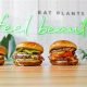Your Guide to Vegan Restaurants in Lincoln Park, Chicago | Discover Delicious Vegan Food, Beauty Swaps, and Zero-Waste Tips for a Greener Life