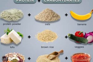 Fuel Up: Best Vegan Post Workout Meals (Recipes!) | Discover Delicious Vegan Food, Beauty Swaps, and Zero-Waste Tips for a Greener Life