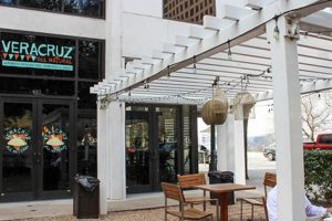 Best Vegan Restaurants Downtown Austin: Guide &amp; More! | Discover Delicious Vegan Food, Beauty Swaps, and Zero-Waste Tips for a Greener Life