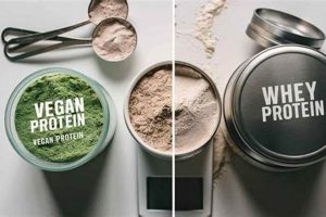Protein Power: Whey vs Vegan Protein - Which Wins? | Discover Delicious Vegan Food, Beauty Swaps, and Zero-Waste Tips for a Greener Life