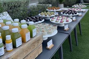 Best Vegan Food Catering Near You: Events & More | Discover Delicious Vegan Food, Beauty Swaps, and Zero-Waste Tips for a Greener Life