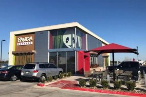 The Best Vegan Restaurants in McAllen, TX: Guide &amp; More! | Discover Delicious Vegan Food, Beauty Swaps, and Zero-Waste Tips for a Greener Life