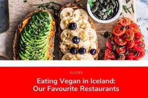 Your Guide: Best Iceland Vegan Restaurants & More Discover Delicious Vegan Food, Beauty Swaps, and Zero-Waste Tips for a Greener Life Your Guide: Best Iceland Vegan Restaurants & More | Discover Delicious Vegan Food, Beauty Swaps, and Zero-Waste Tips for a Greener Life