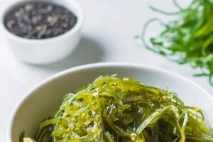 Vegan Guide: Is Seaweed Vegan? + Benefits! Discover Delicious Vegan Food, Beauty Swaps, and Zero-Waste Tips for a Greener Life Vegan Guide: Is Seaweed Vegan? + Benefits! | Discover Delicious Vegan Food, Beauty Swaps, and Zero-Waste Tips for a Greener Life