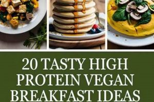 Fuel Up! High-Protein Vegan Breakfast Ideas for Energy Discover Delicious Vegan Food, Beauty Swaps, and Zero-Waste Tips for a Greener Life Fuel Up! High-Protein Vegan Breakfast Ideas for Energy | Discover Delicious Vegan Food, Beauty Swaps, and Zero-Waste Tips for a Greener Life