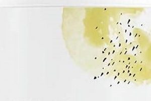 Boost Vegan Protein: Thorne Vegan Protein Powder Guide Discover Delicious Vegan Food, Beauty Swaps, and Zero-Waste Tips for a Greener Life Boost Vegan Protein: Thorne Vegan Protein Powder Guide | Discover Delicious Vegan Food, Beauty Swaps, and Zero-Waste Tips for a Greener Life