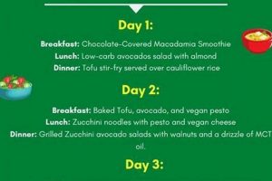 Easy Vegan Keto Diet Meal Plan for Weight Loss (Recipes!) Discover Delicious Vegan Food, Beauty Swaps, and Zero-Waste Tips for a Greener Life Easy Vegan Keto Diet Meal Plan for Weight Loss (Recipes!) | Discover Delicious Vegan Food, Beauty Swaps, and Zero-Waste Tips for a Greener Life