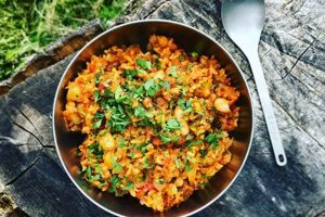 Easy Vegan Dehydrated Meals: Backpacking & Beyond! | Discover Delicious Vegan Food, Beauty Swaps, and Zero-Waste Tips for a Greener Life