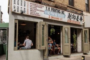 Guide to Vegan Restaurants: Lower East Side NYC Options | Discover Delicious Vegan Food, Beauty Swaps, and Zero-Waste Tips for a Greener Life