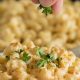 The Best Frozen Vegan Mac & Cheese: [Brand] vs DIY | Discover Delicious Vegan Food, Beauty Swaps, and Zero-Waste Tips for a Greener Life