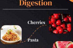 Best Low Fiber Vegan Foods: Recipes & Guide | Discover Delicious Vegan Food, Beauty Swaps, and Zero-Waste Tips for a Greener Life