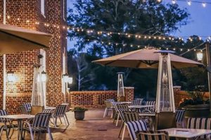 Discover Vegan Restaurants in Wake Forest, NC: Your Guide | Discover Delicious Vegan Food, Beauty Swaps, and Zero-Waste Tips for a Greener Life