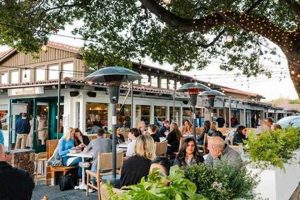 Best Vegan Restaurants in Palo Alto, CA: Guide | Discover Delicious Vegan Food, Beauty Swaps, and Zero-Waste Tips for a Greener Life