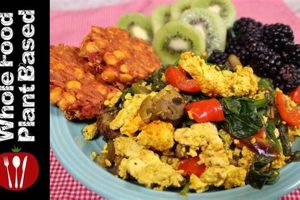 Fuel Your Day: Vegan Whole Food Breakfast Recipes & Ideas | Discover Delicious Vegan Food, Beauty Swaps, and Zero-Waste Tips for a Greener Life