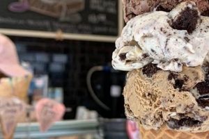 Best Vegan Ice Cream NYC: Guide + Sweet Treats! | Discover Delicious Vegan Food, Beauty Swaps, and Zero-Waste Tips for a Greener Life