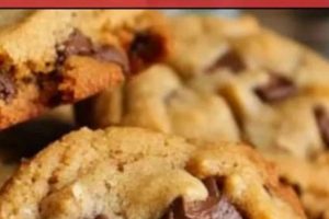 Vegan Delight: Insomnia Cookies Vegan Ingredients Guide | Discover Delicious Vegan Food, Beauty Swaps, and Zero-Waste Tips for a Greener Life