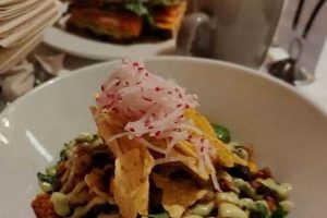 Best Burlington Vegan Restaurants: Your Guide + More | Discover Delicious Vegan Food, Beauty Swaps, and Zero-Waste Tips for a Greener Life