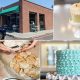 Best Vegan Bakery in San Antonio: Cakes & Treats! | Discover Delicious Vegan Food, Beauty Swaps, and Zero-Waste Tips for a Greener Life