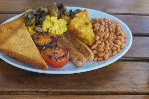 Discover Vegan Food Norfolk: Your Plant-Based Guide | Discover Delicious Vegan Food, Beauty Swaps, and Zero-Waste Tips for a Greener Life