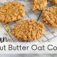 Irresistible: Vegan Oat Peanut Butter Cookies Recipe! | Discover Delicious Vegan Food, Beauty Swaps, and Zero-Waste Tips for a Greener Life