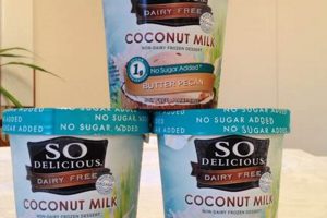 Best Sugar Free Vegan Ice Cream: Guilt-Free Treat | Discover Delicious Vegan Food, Beauty Swaps, and Zero-Waste Tips for a Greener Life