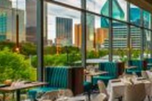 Best Vegan Restaurants: Downtown Dallas & Beyond | Discover Delicious Vegan Food, Beauty Swaps, and Zero-Waste Tips for a Greener Life