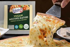 Guide to the Best Vegan Cheese for Melting: Reviews & Tips | Discover Delicious Vegan Food, Beauty Swaps, and Zero-Waste Tips for a Greener Life