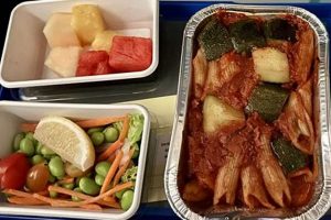 Your Guide to United Airlines Vegan Meal Options + Tips Discover Delicious Vegan Food, Beauty Swaps, and Zero-Waste Tips for a Greener Life Your Guide to United Airlines Vegan Meal Options + Tips | Discover Delicious Vegan Food, Beauty Swaps, and Zero-Waste Tips for a Greener Life