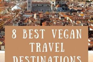Top Best Vegan Travel Destinations Guide [Year] | Discover Delicious Vegan Food, Beauty Swaps, and Zero-Waste Tips for a Greener Life