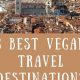 Top Best Vegan Travel Destinations Guide [Year] | Discover Delicious Vegan Food, Beauty Swaps, and Zero-Waste Tips for a Greener Life